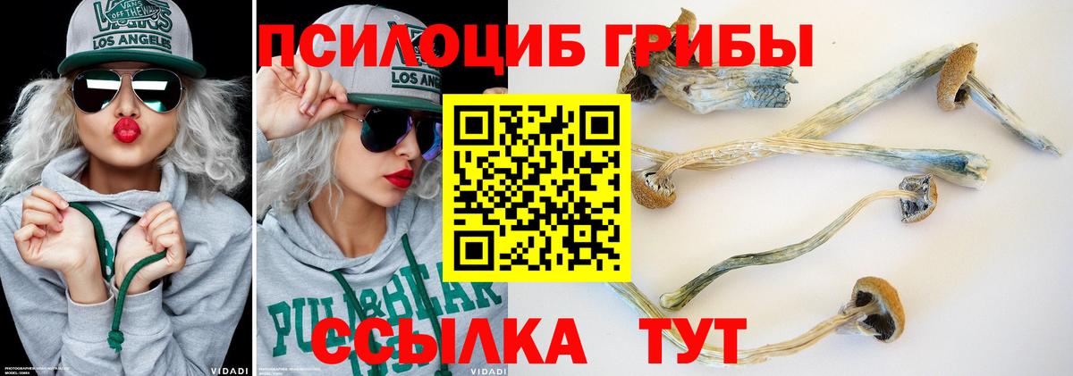 Ялуторовск  Псилоцибиновые грибы Psilocybe  Вход с VPN 